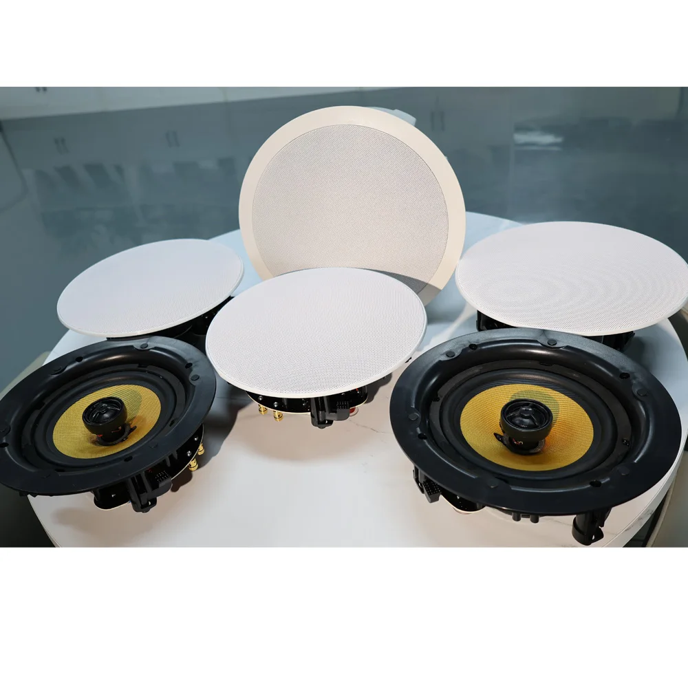 TLF WiFi Bluetooth Speaker  Ce - Home Theater Speaker 리뷰 및 가격