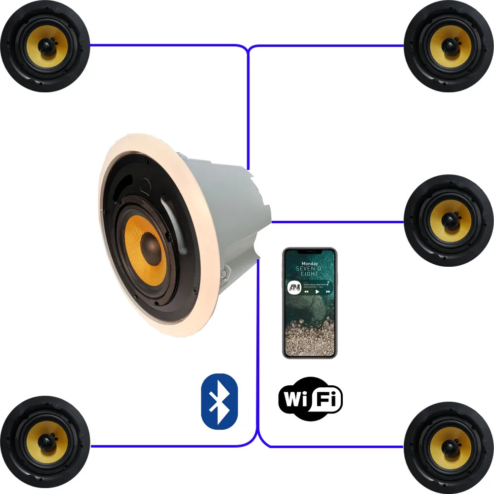 TLF WiFi Bluetooth Speaker  Ce - Home Theater Speaker 리뷰 및 가격