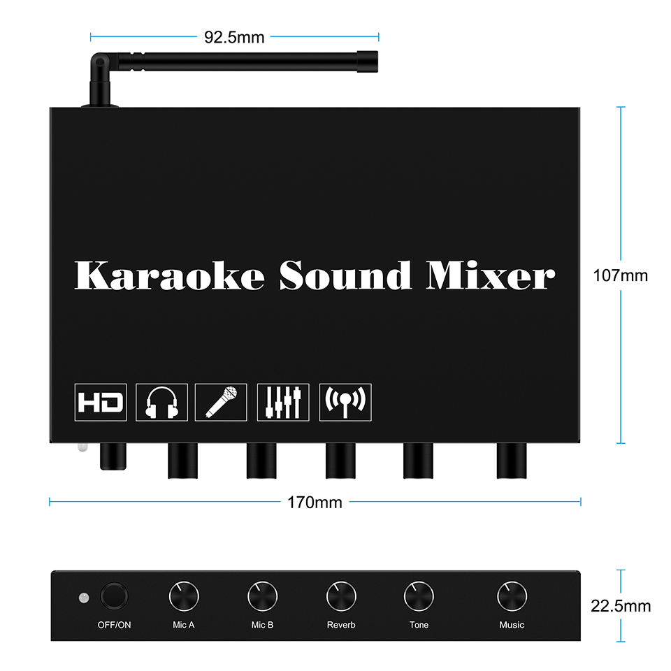 HDMI Karaoke Player Mixer Home - Home Cinema Solution 리뷰 및 가격