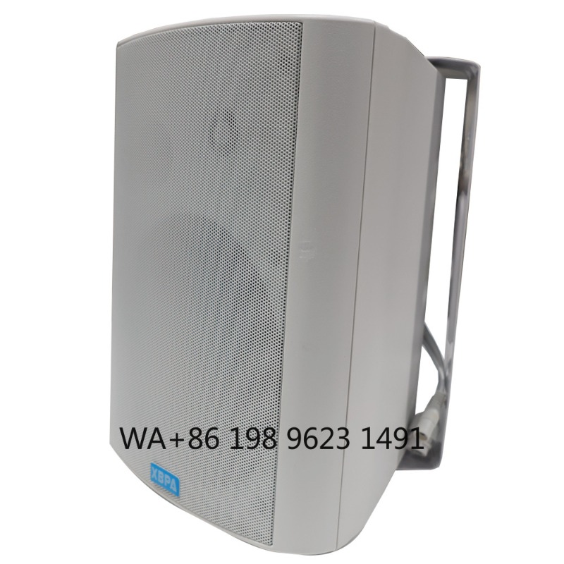 5.1 Wireless WiFi Wall Ceiling - Home Theater Speaker 리뷰 및 가격