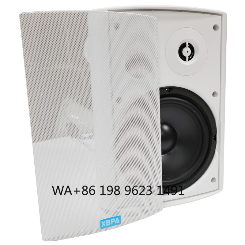 5.1 Wireless WiFi Wall Ceiling - Home Theater Speaker 리뷰 및 가격
