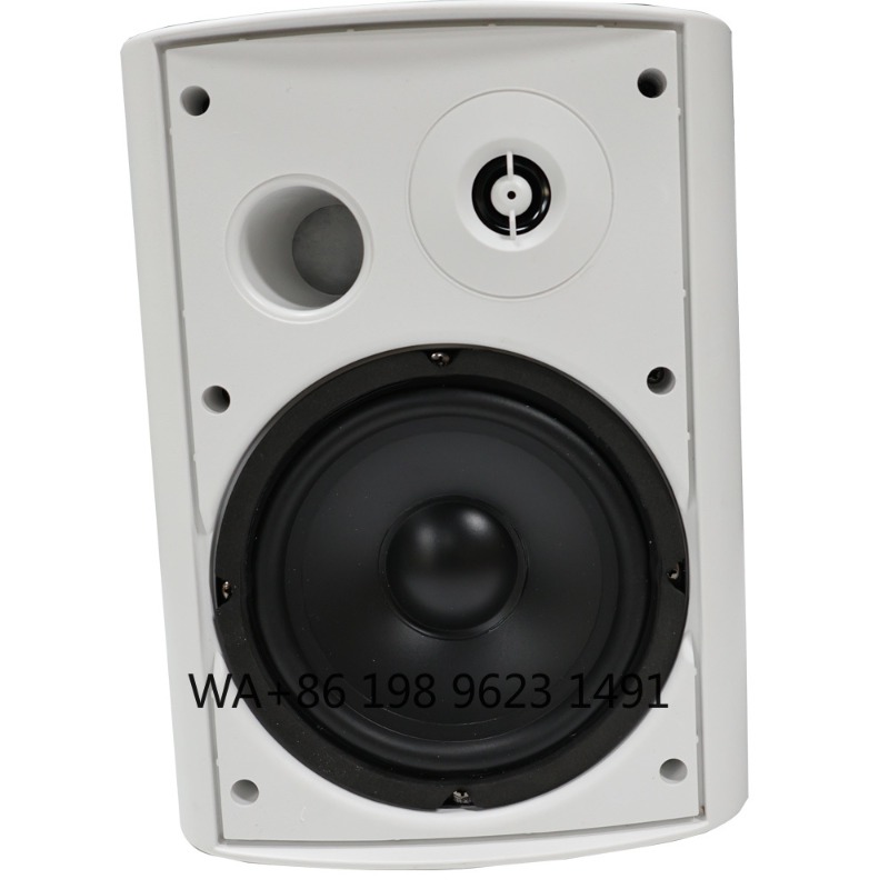 5.1 Wireless WiFi Wall Ceiling - Home Theater Speaker 리뷰 및 가격