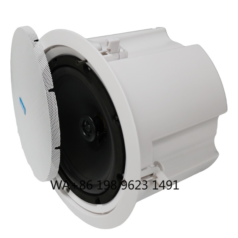 5.1 Wireless WiFi Wall Ceiling - Home Theater Speaker 리뷰 및 가격