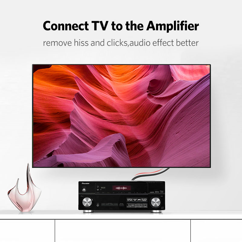 UGREEN 2RCA to 2 RCA Male to M - Home Cinema Furniture 리뷰 및 가격