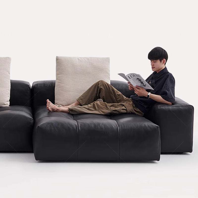 Nordic Leather Compressed Sofa - Home Cinema Furniture 리뷰 및 가격