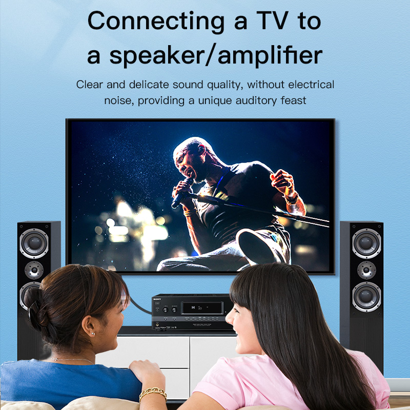 CHOSEAL RCA Cable Digital Coax - Home Cinema Solution 리뷰 및 가격