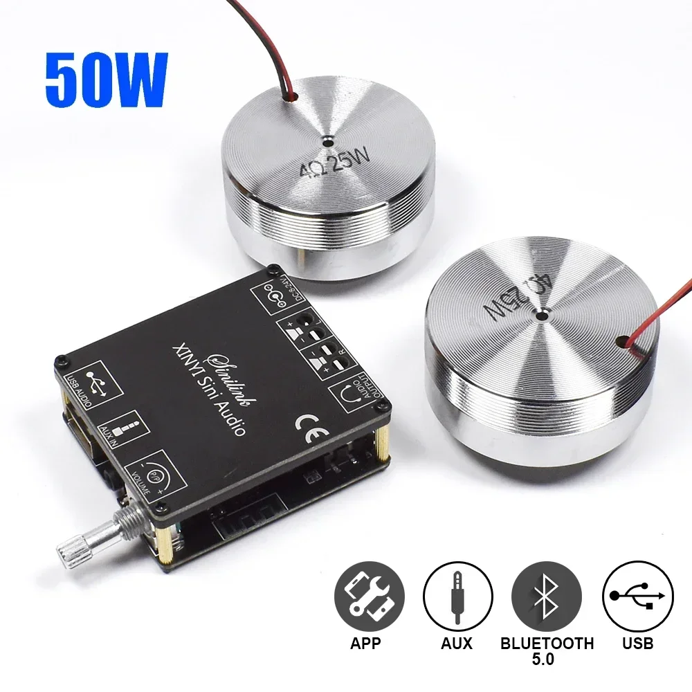 2*25W Portable Stereo Vibratio - Home Cinema Solution 리뷰 및 가격